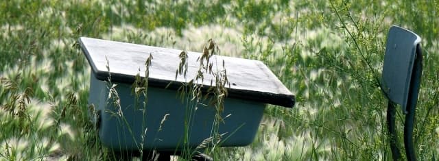 school desk in tall grass